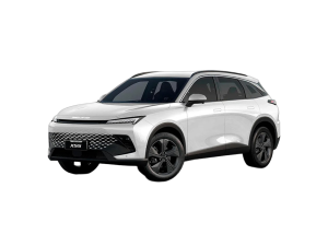 Эва-коврики на Baic X55 2022-