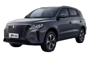 Эва-коврики с бортами на Livan 6X Pro 